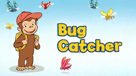 Bug Catcher