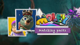 Moley Matching Pairs