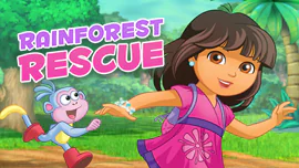 Rainforest Rescue