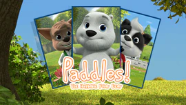 Paddles Matching Pairs
