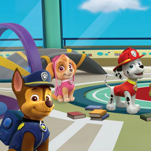 PAW Patrol Pattern Puzzle